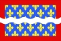 vlag van het departement Cher