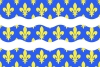 vlag van het departement Seine-et-Marne
